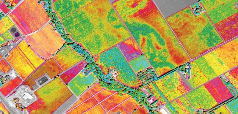 NDVI Crop Health Mapping